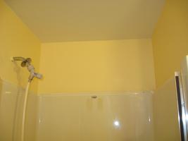 lower bathroom reno 2010